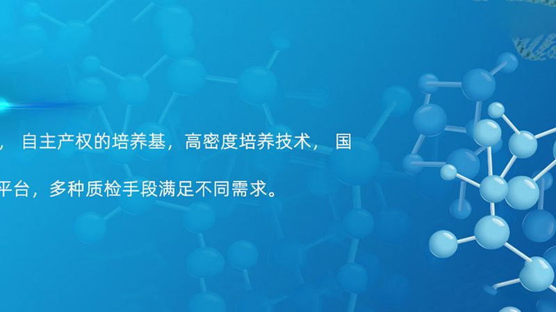 无血清细胞培养：揭秘关键步骤与注意事项**