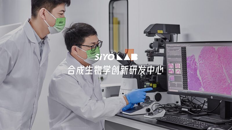 CDMO生产厂家排名背后的考量因素