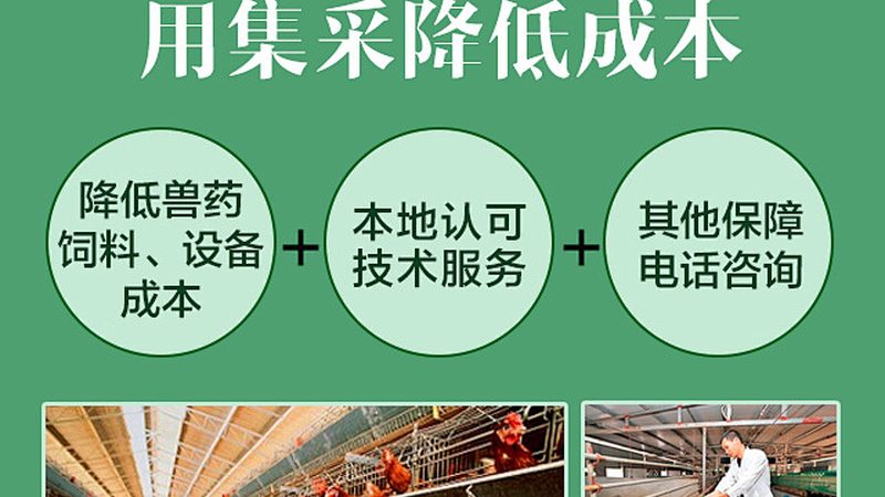 酶与益生菌：揭秘两者的本质区别**