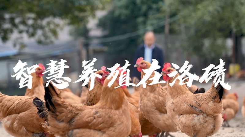 细胞培养技术：北京细胞培养公司代理加盟的考量要点**