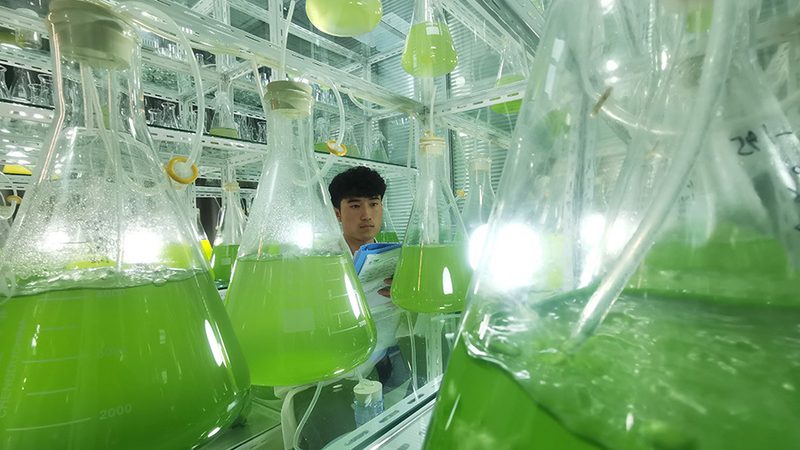 孕妇无创产前基因检测注意事项